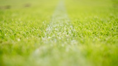 ملخص نهائي كأس العالم 2022قصة بطولة غيرت تاريخ كرة القدم